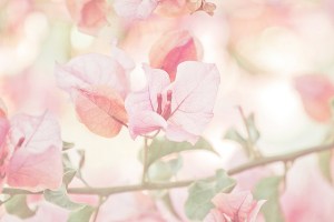 6458193051_0767e75493_z