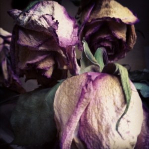 tumblr_lzku9lG44A1r8om2io1_500