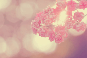 tumblr_m6v4mmLiNB1qg2856o1_500