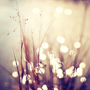 Screen shot 2012-03-29 at 8_12_04 PM