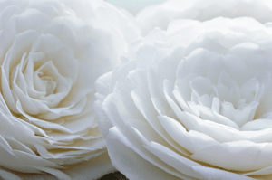 Screen shot 2012-03-20 at 3_58_08 PM