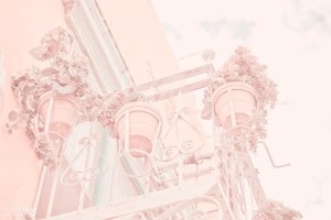 tumblr_mdrltsygO91rygyqro1_500