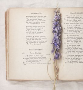 tumblr_mhnuh0SGTn1qeji9ko1_500