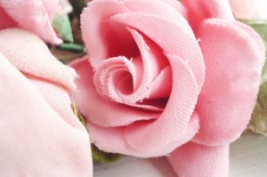 6a00e553a4097c8834017ee93defe9970d-500wi